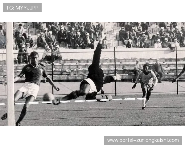 阿兰纳西门托胜利后致谢奥利维拉传授蟒蛇绞秘技展现师徒情深